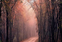 必赢体育官网：[中国男篮]中国男、女三人篮球队跻身亚洲杯八强.