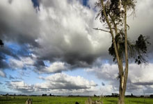 必赢体育官网：上海申花看到亚冠八强的希望 但今年伤病猛于虎.