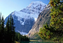 半场：博德鲁姆体育1-4费内巴切，普斯卡什、塔利斯卡点射.