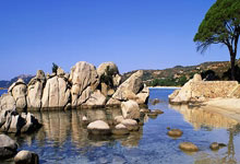 必赢体育官网：[图]德甲-奥利塞格雷茨卡破门 拜仁3-1逆转斯图加特.